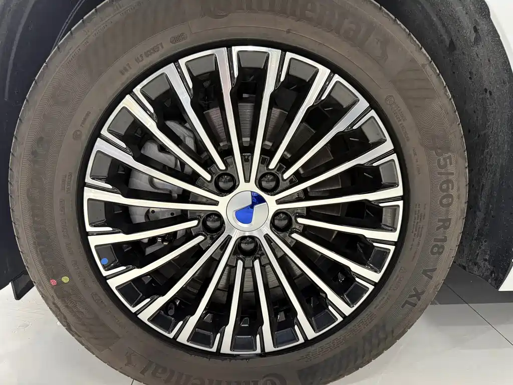 Denza Denza D9 — миниатюра 23