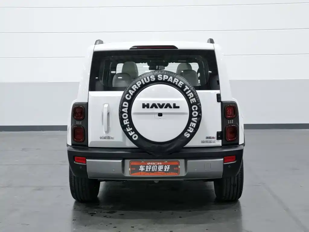 Haval Menglong New Energy — миниатюра 4