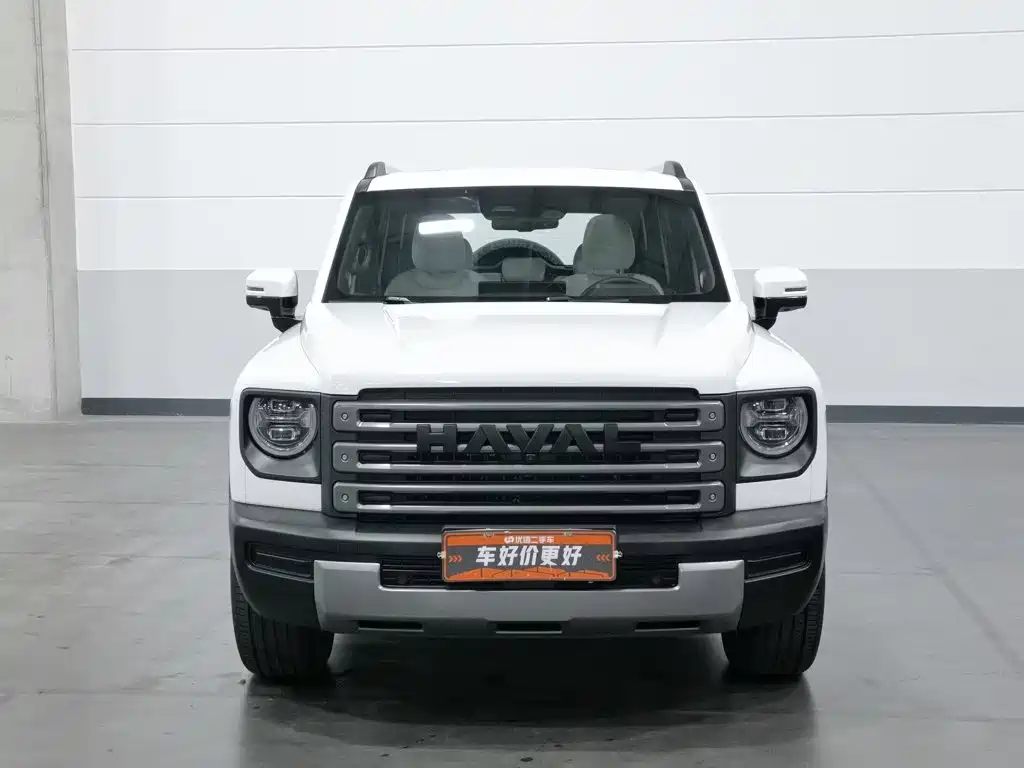 Haval Menglong New Energy — миниатюра 3
