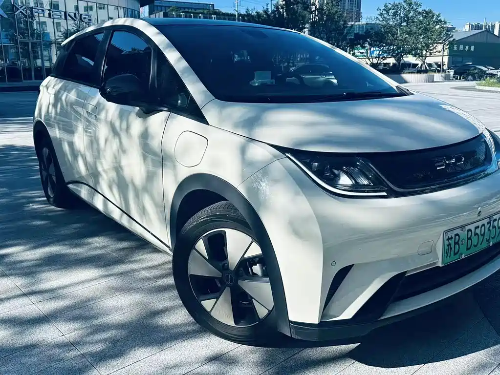 BYD Dolphin 2023 420km Fashion