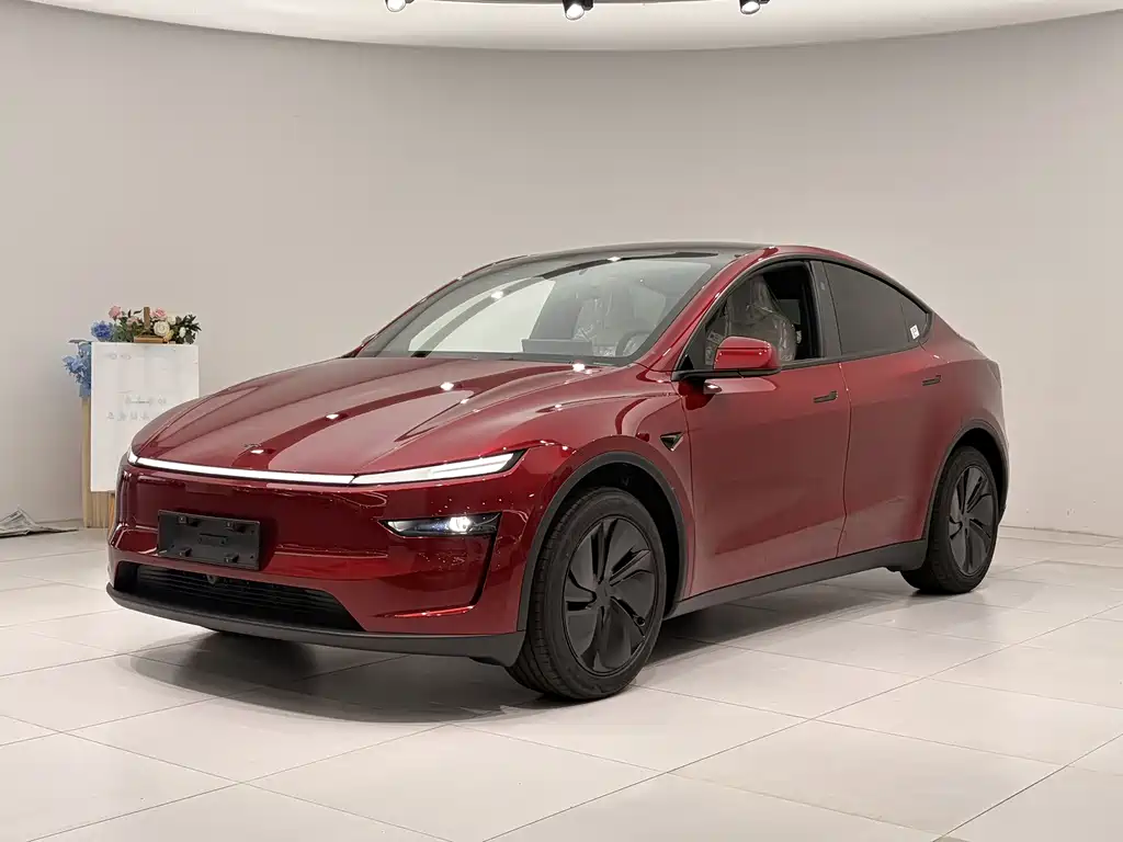 Tesla Model Y 0