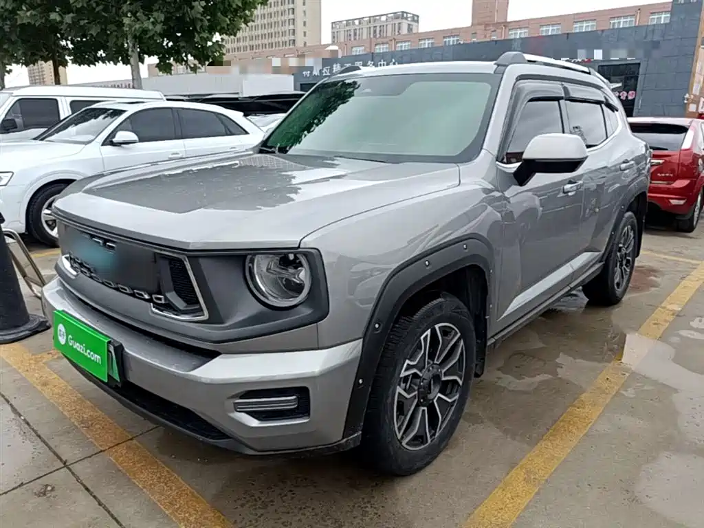Haval 哈弗大狗 PLUS 新能源 2023