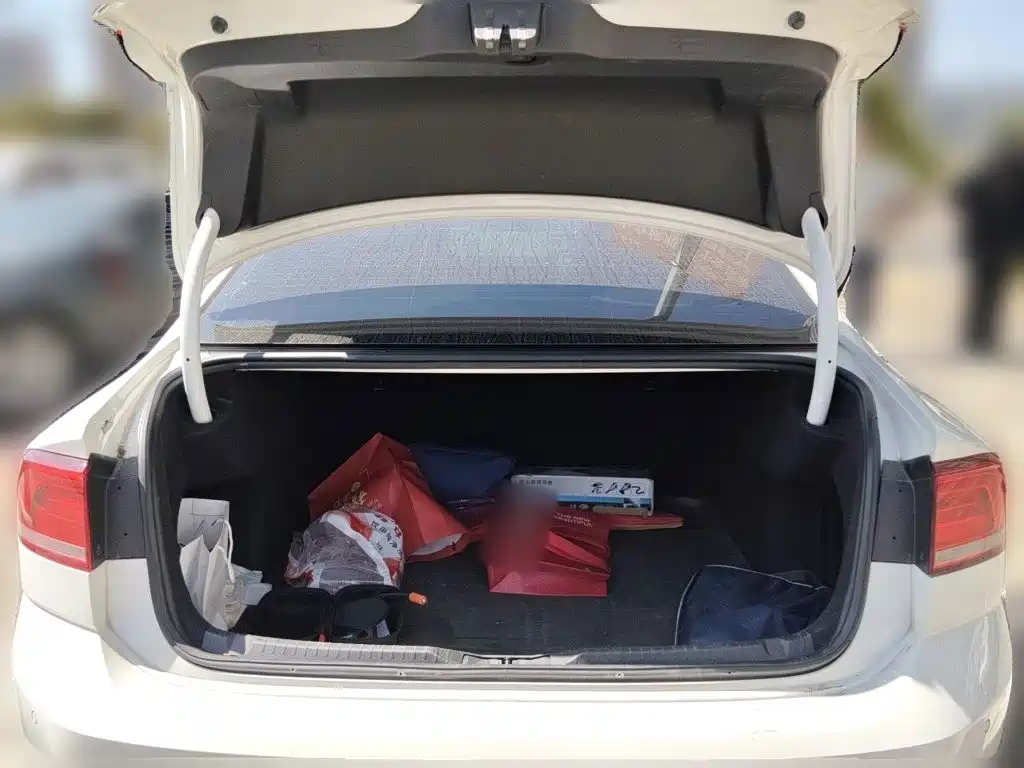 Volkswagen Lamando — миниатюра 15