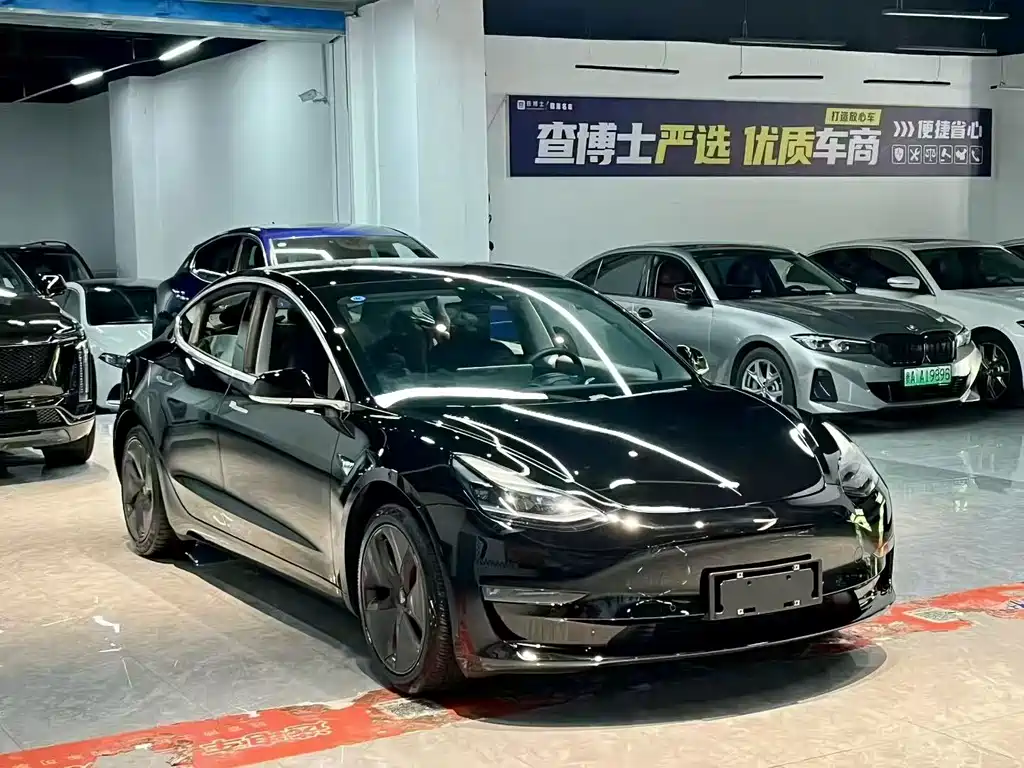 Tesla Model 3 — миниатюра 3