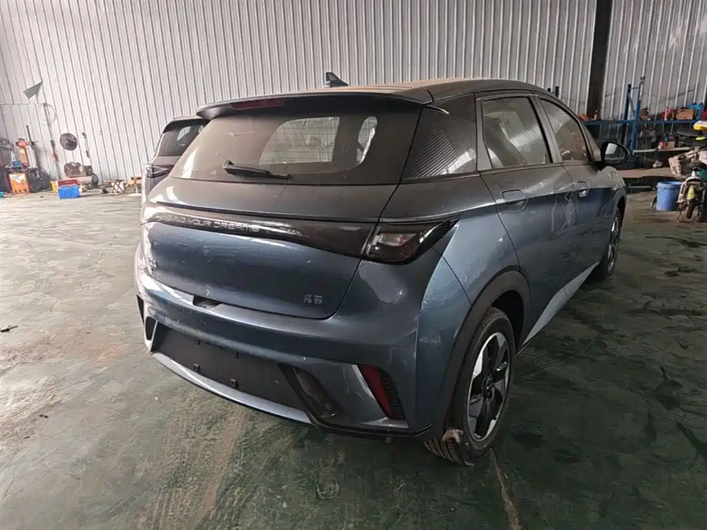 BYD Dolphin 2025 420km Freedom