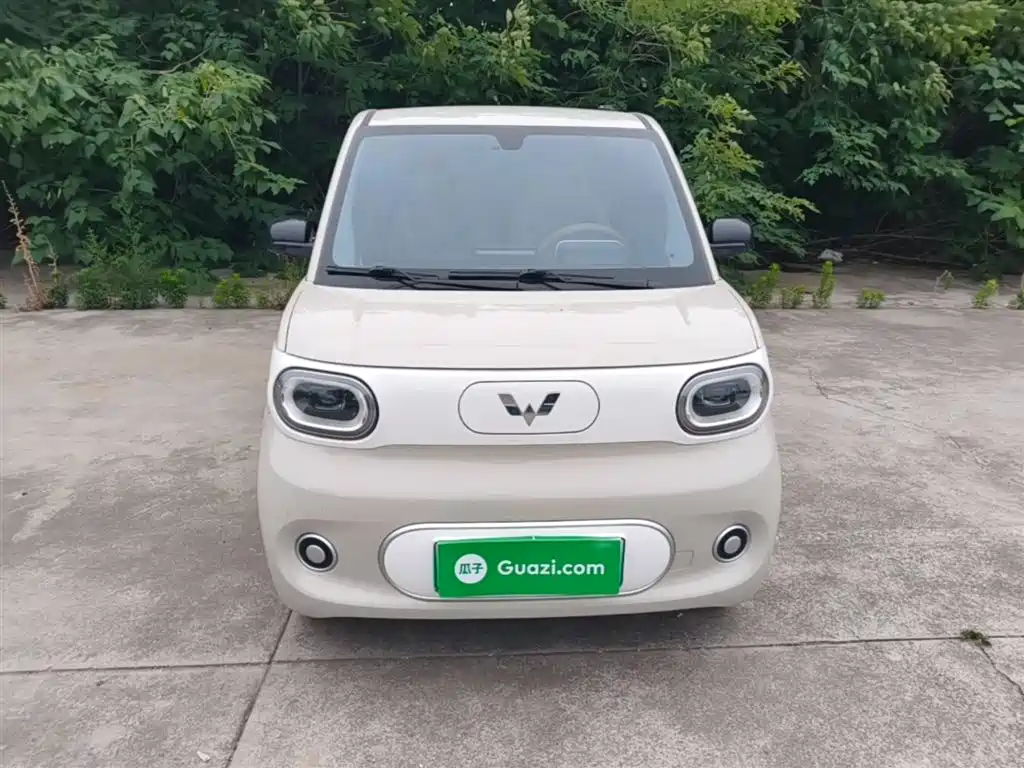 Wuling Mini EV MINIEV 2024 215km