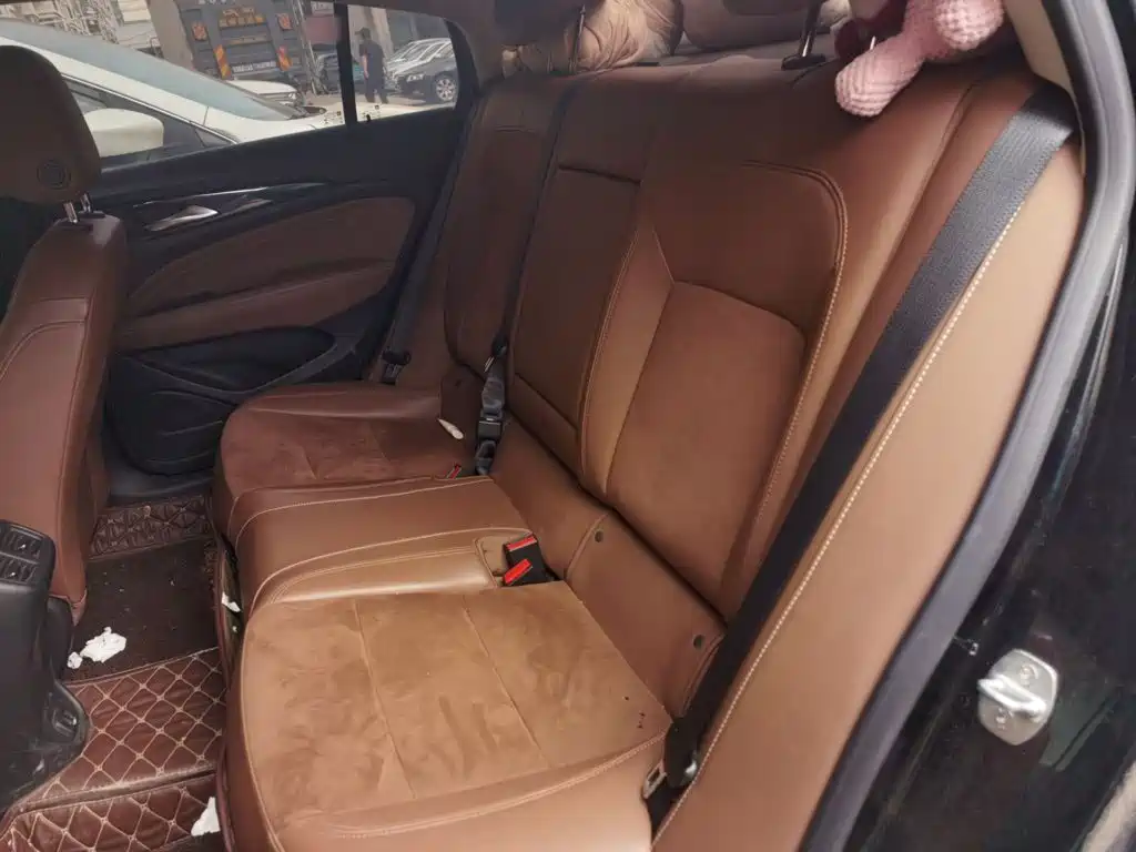 Buick Regal — миниатюра 18