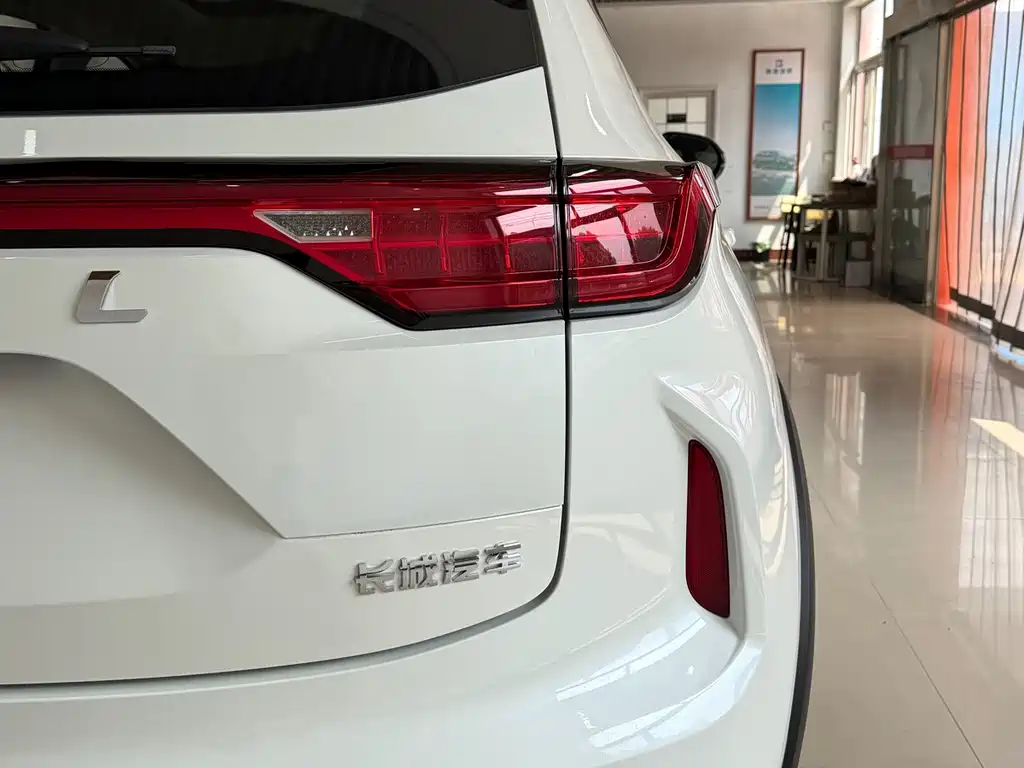 Haval Chitu Dynamic Enjoy Edition 1.5T Brass Rabbit, фото 34