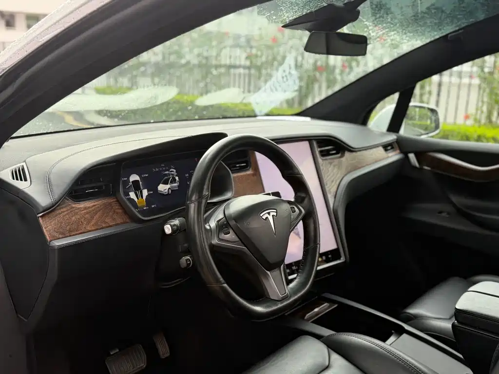 Tesla Model X — миниатюра 13