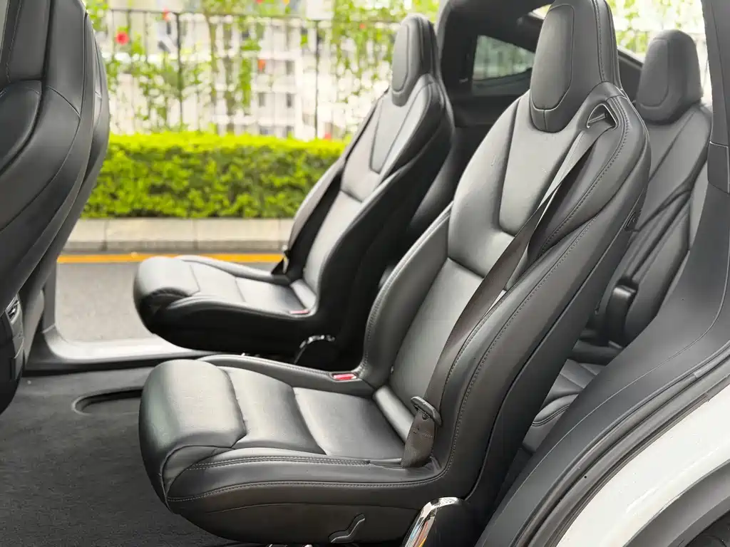 Tesla Model X — миниатюра 10