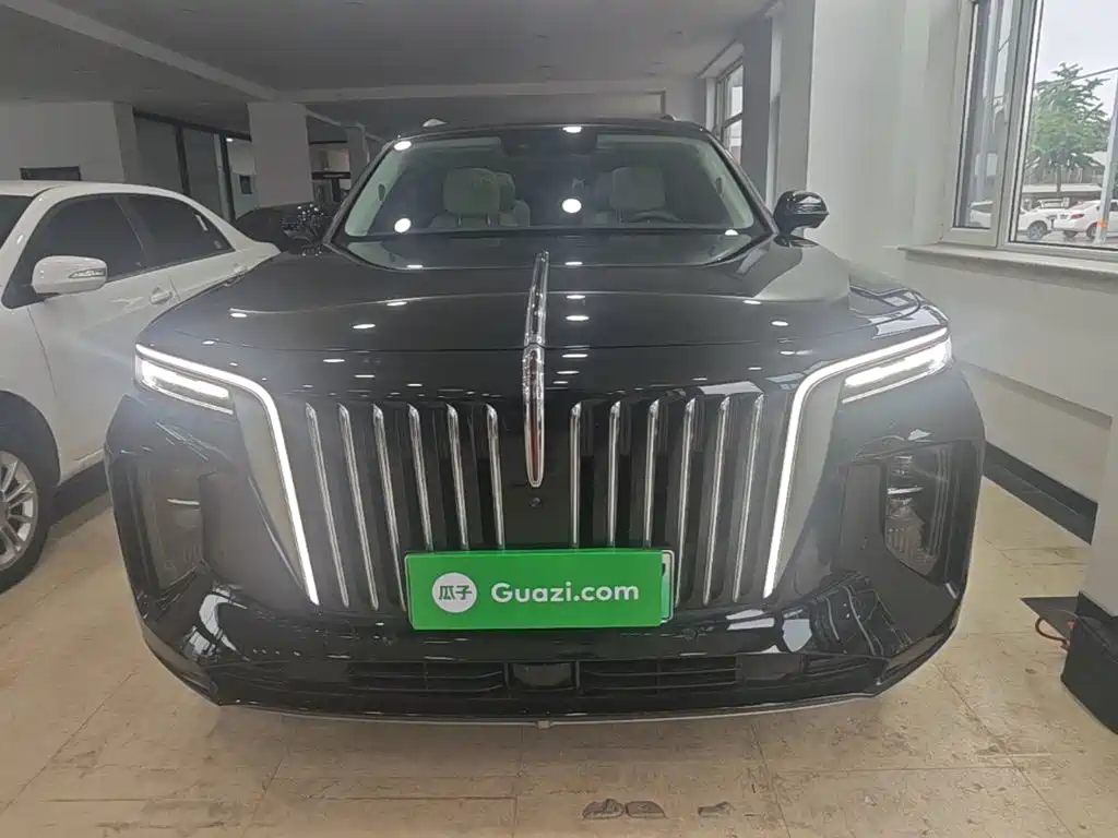 Hongqi E-HS9 2022 690km мест