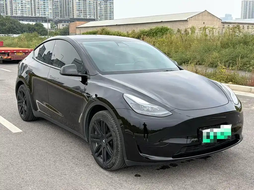 Tesla Model Y — миниатюра 3