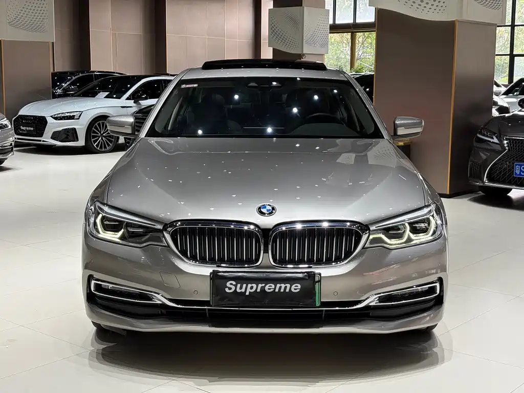 BMW 5 Series 5 2019 530Le Luxury