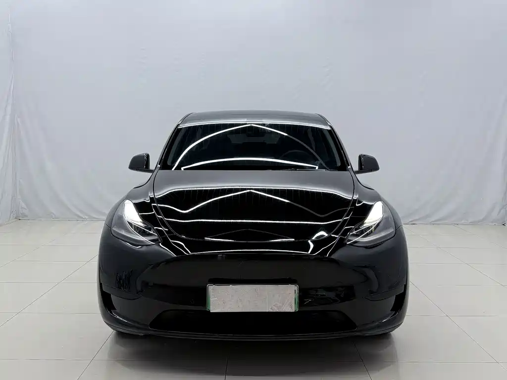 Tesla Model Y — миниатюра 2
