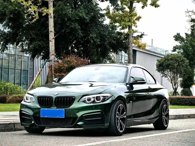 BMW 2 SERIES 2017