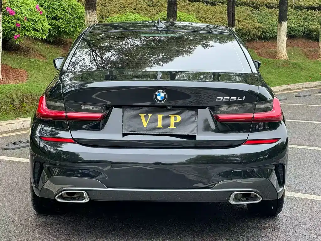 BMW 3 Series 3 2020 325Li M Sport