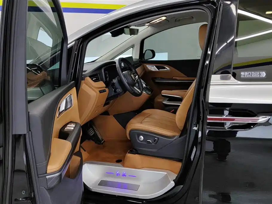 Hongqi HQ9 PHEV 2024 2.0T