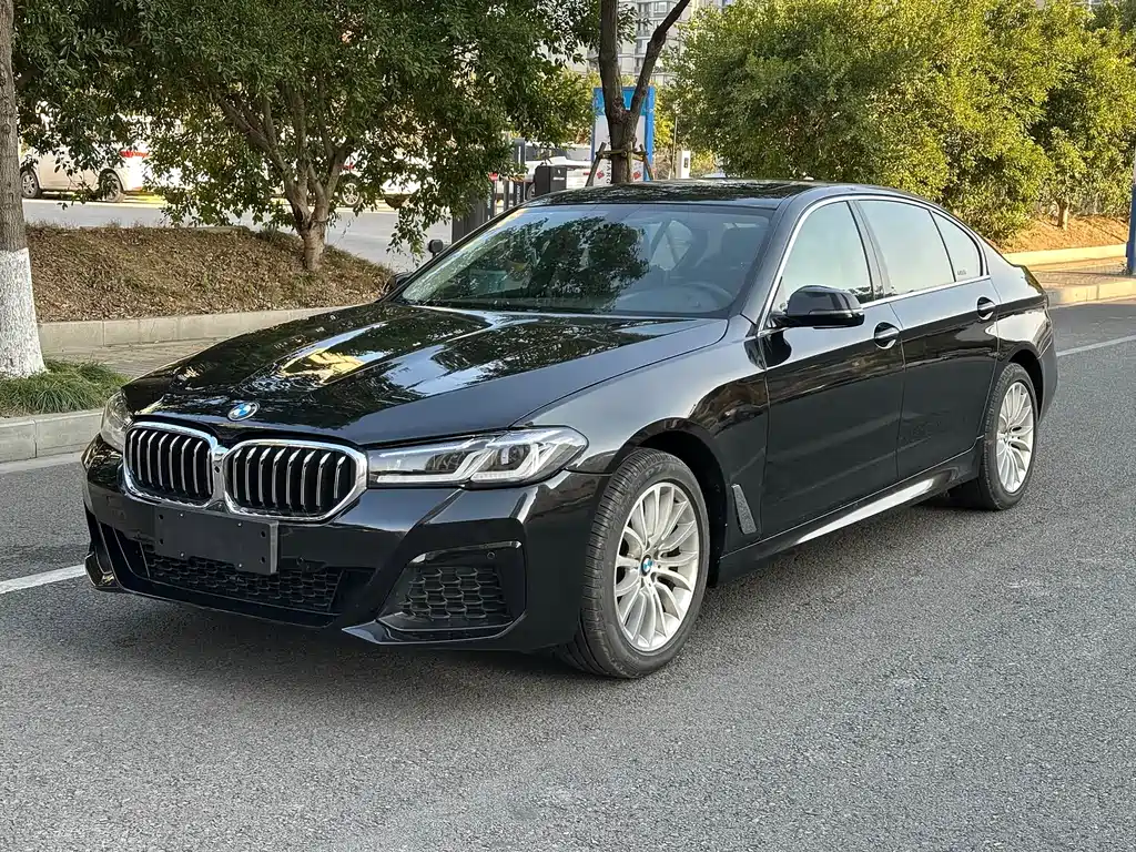 BMW 5 Series 2015