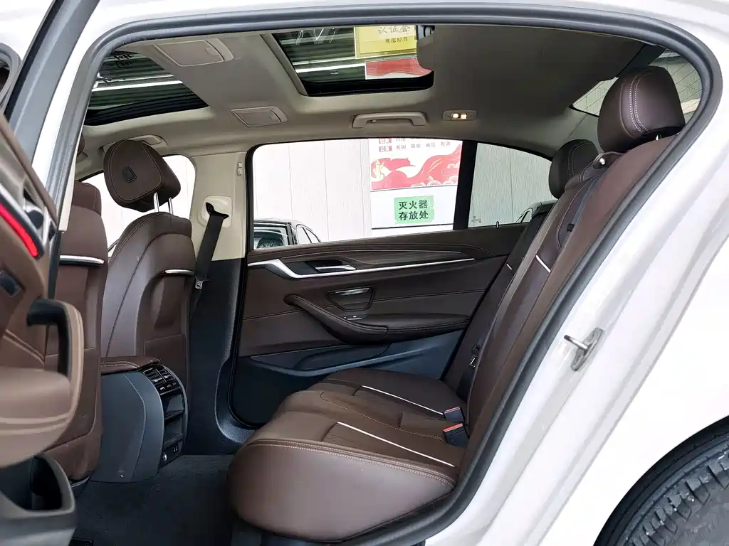BMW 5 Series 5 2021 530Li xDrive Luxury