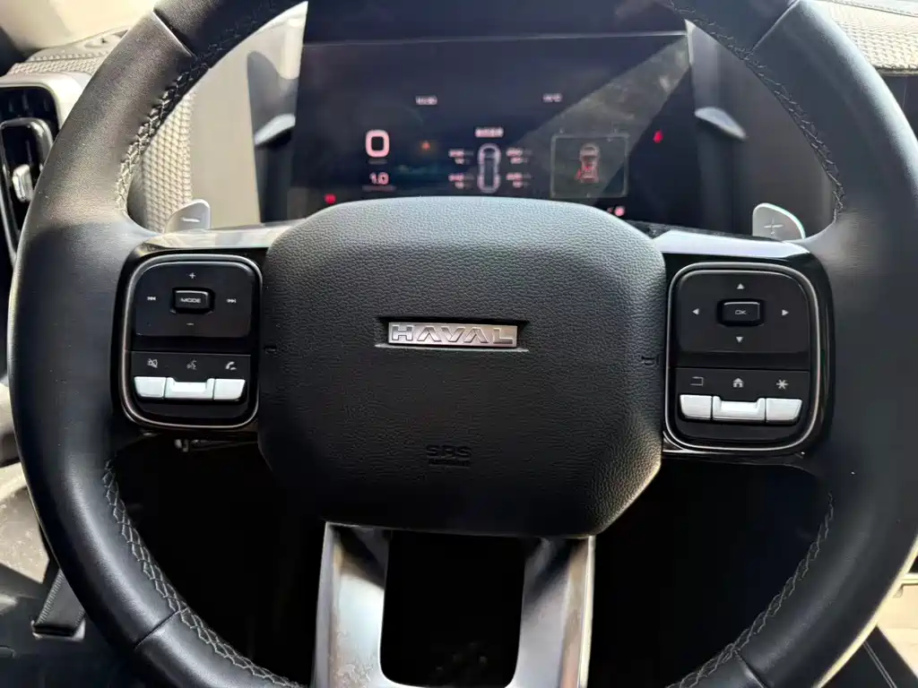 Haval Dargo 1.5T DCT 2WD Border Collie Edition, фото 7