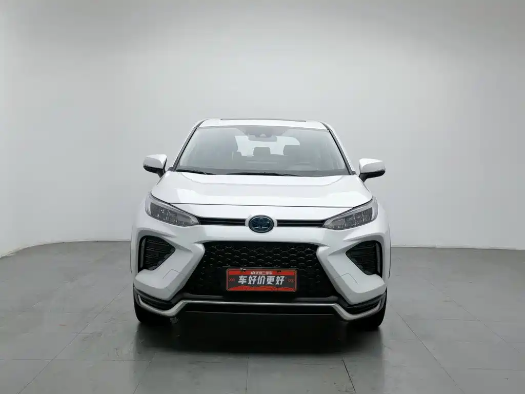 Toyota Wildlander New Energy — миниатюра 3