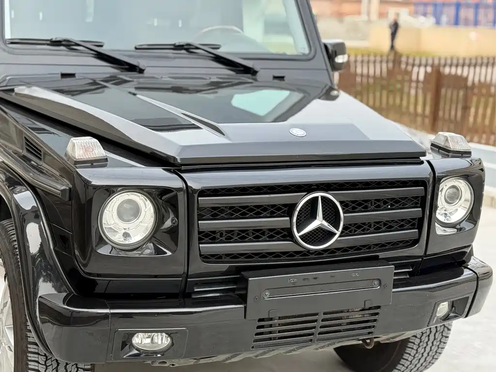 Mercedes-Benz G-Class G 2010 G 500