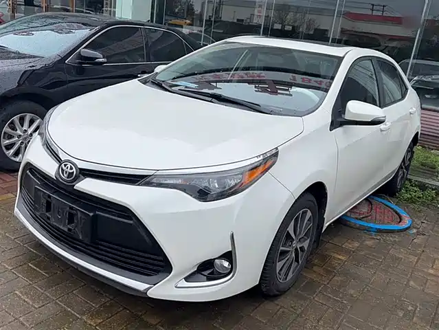 TOYOTA LEI LING 2019