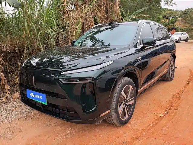 WEI PAI WEI BRAND BLUE MOUNTAIN 2025