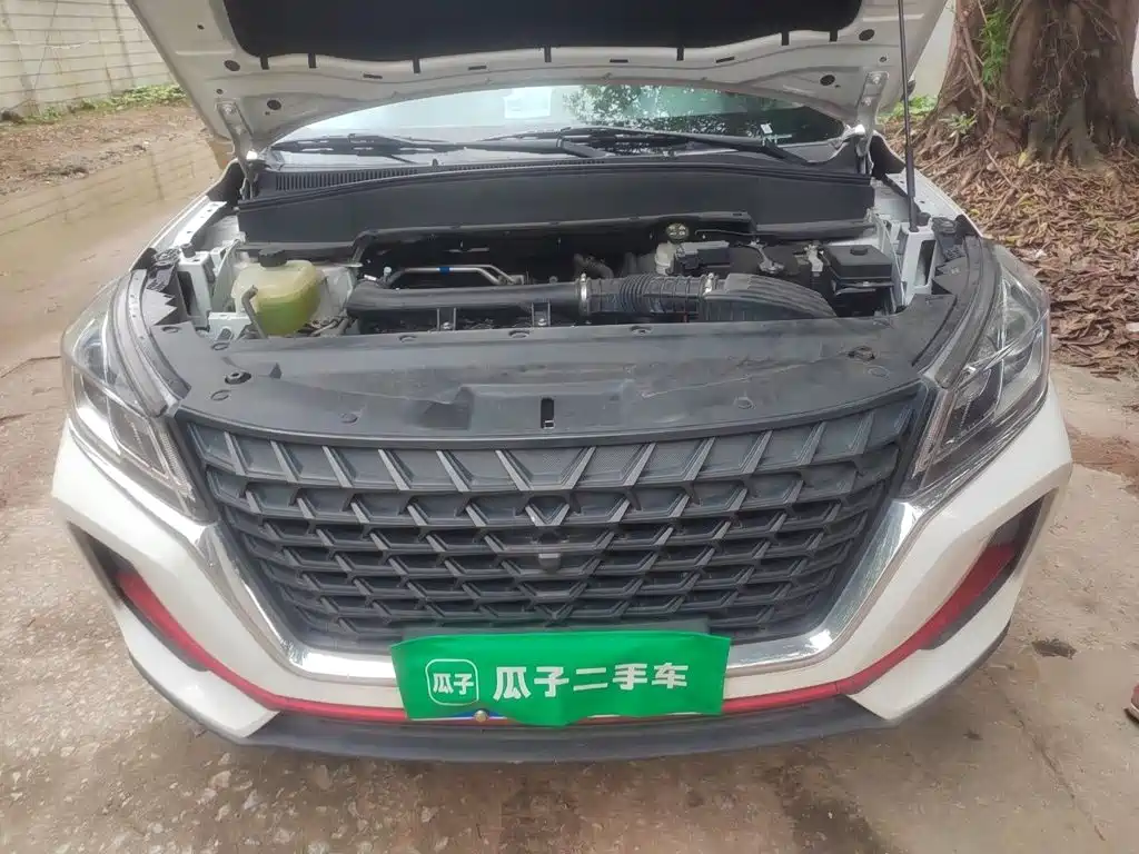 Fengguang Fengguang 500 — миниатюра 16