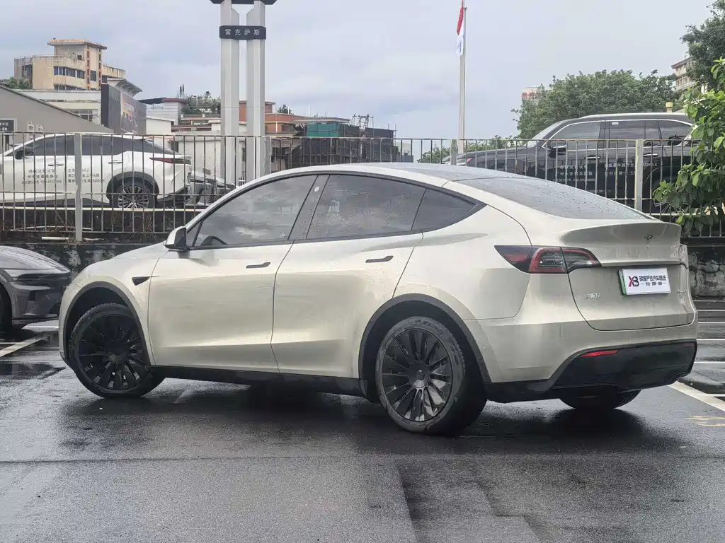 Tesla Model Y — миниатюра 6