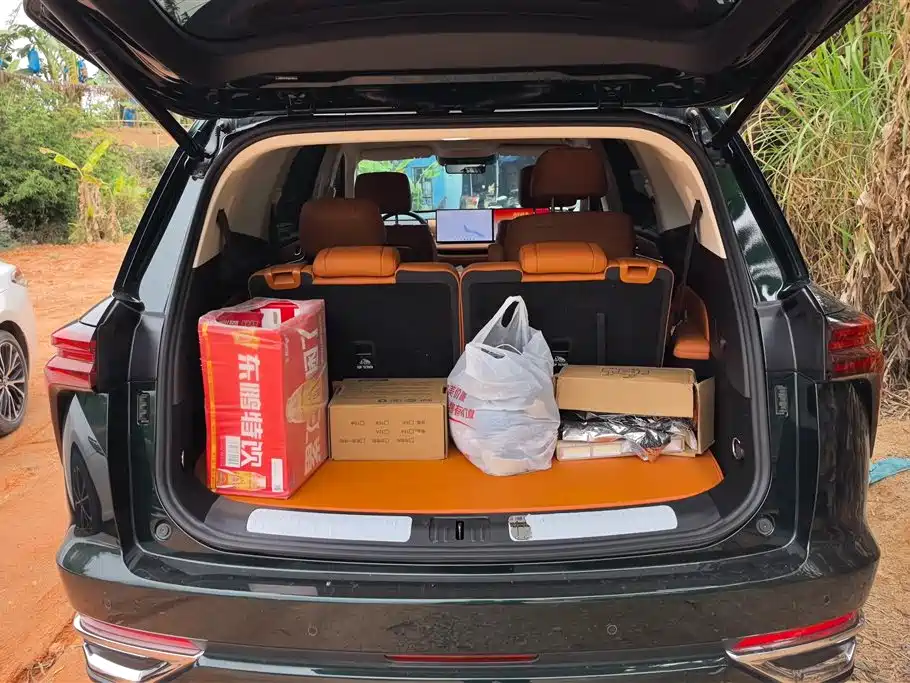 WEI PAI WEI BRAND BLUE MOUNTAIN