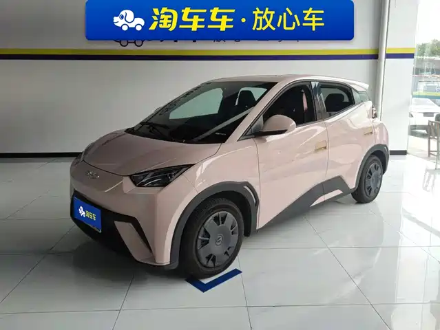 2024 BYD Seagull