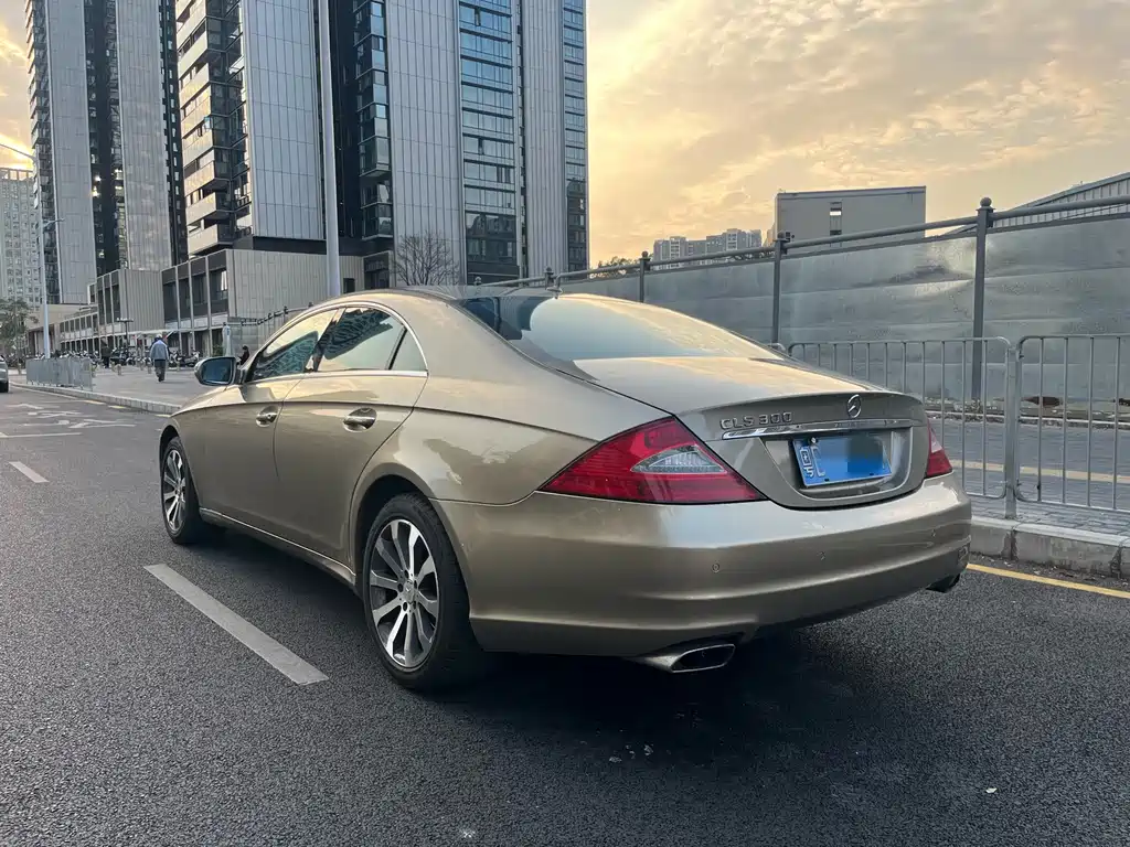 Mercedes-Benz CLS 2009 CLS 300