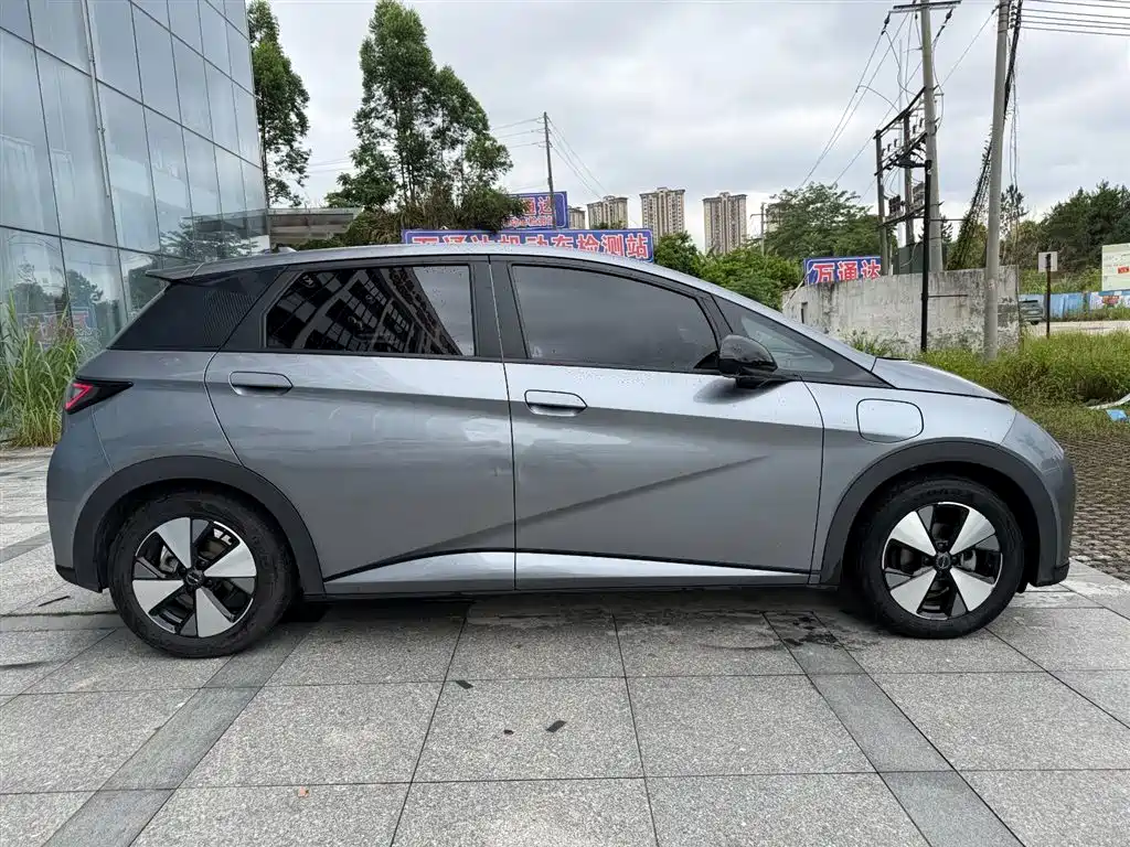 BYD Dolphin 2023 420km Fashion