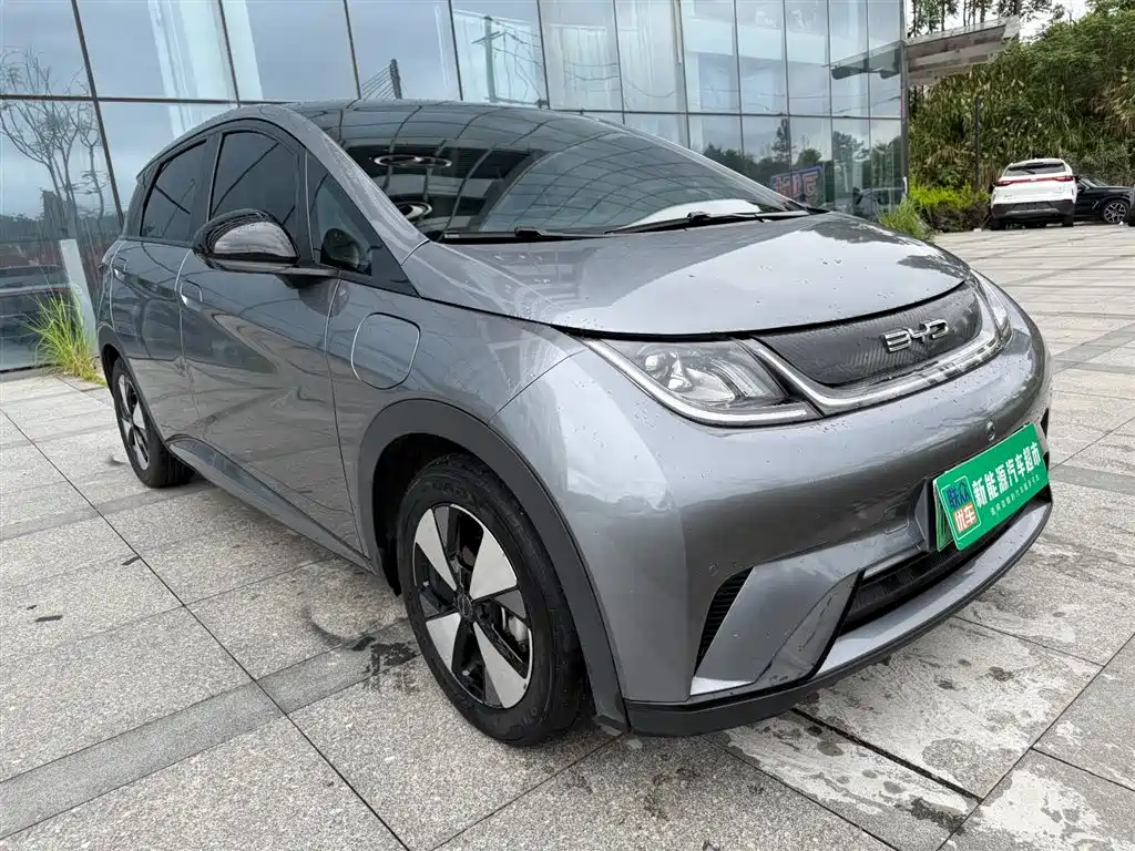 BYD Dolphin 2023 420km Fashion