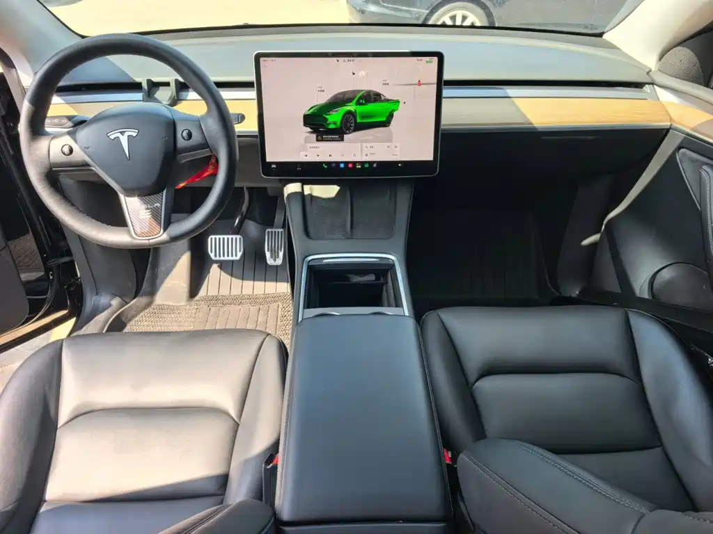 Tesla Model Y — миниатюра 10