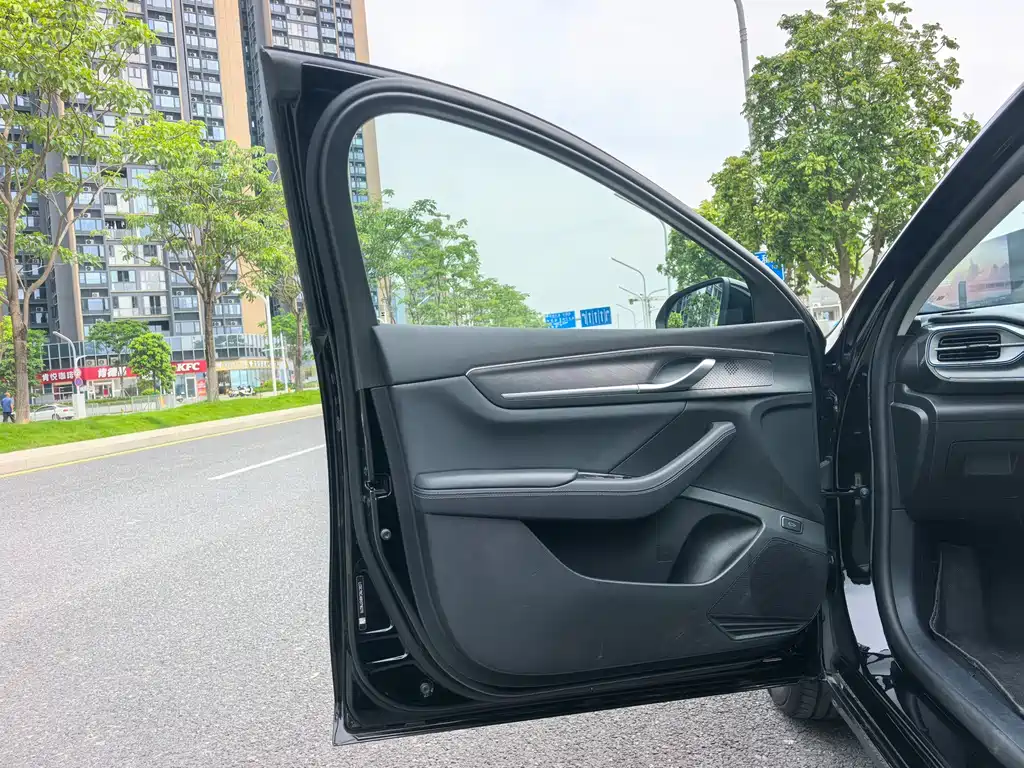 BYD Destroyer 05 2024 DM-i 55KM Luxury