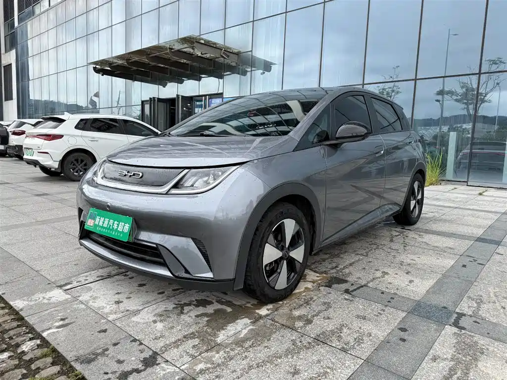 BYD Dolphin 2023 420km Fashion