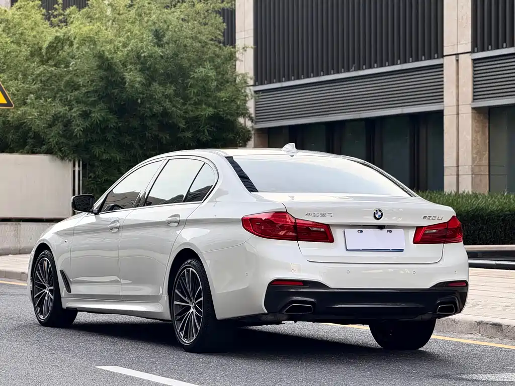 BMW 5 Series 5 2019 530Li Lead M Sport