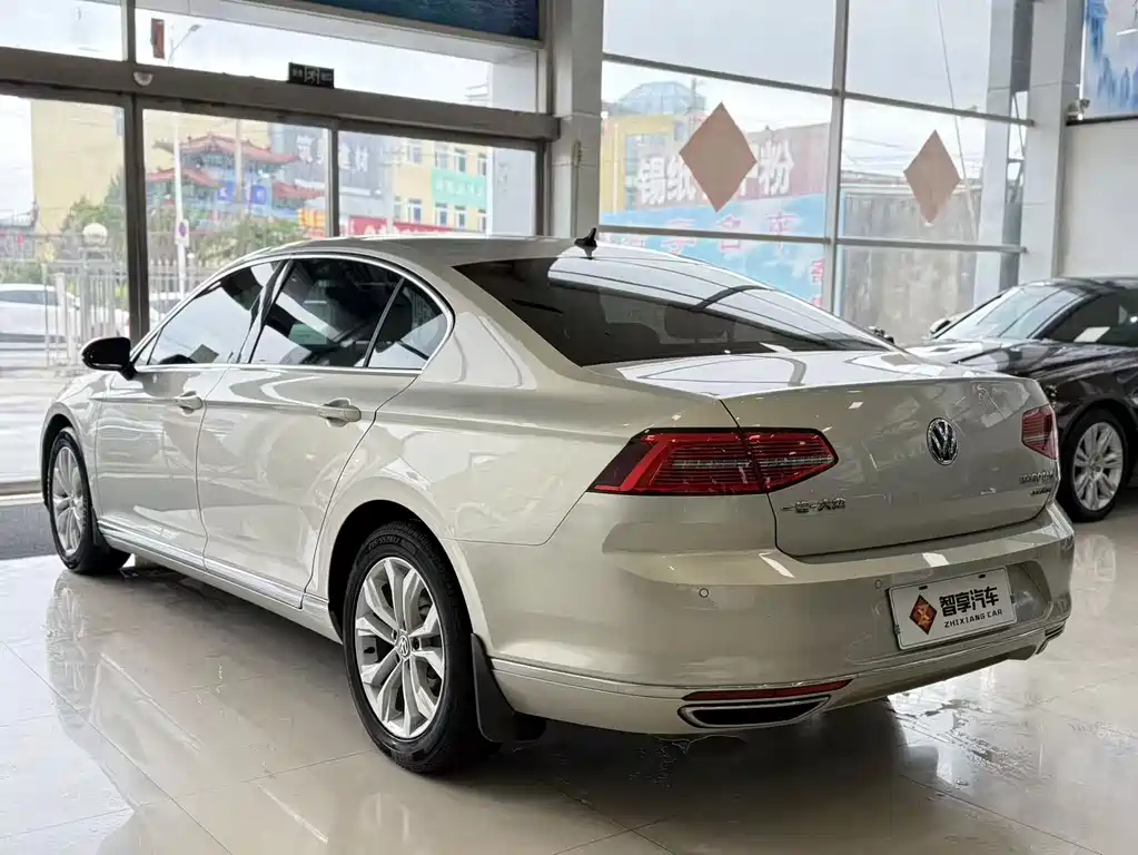 Volkswagen Magotan 2019 330TSI DSG Luxury VI