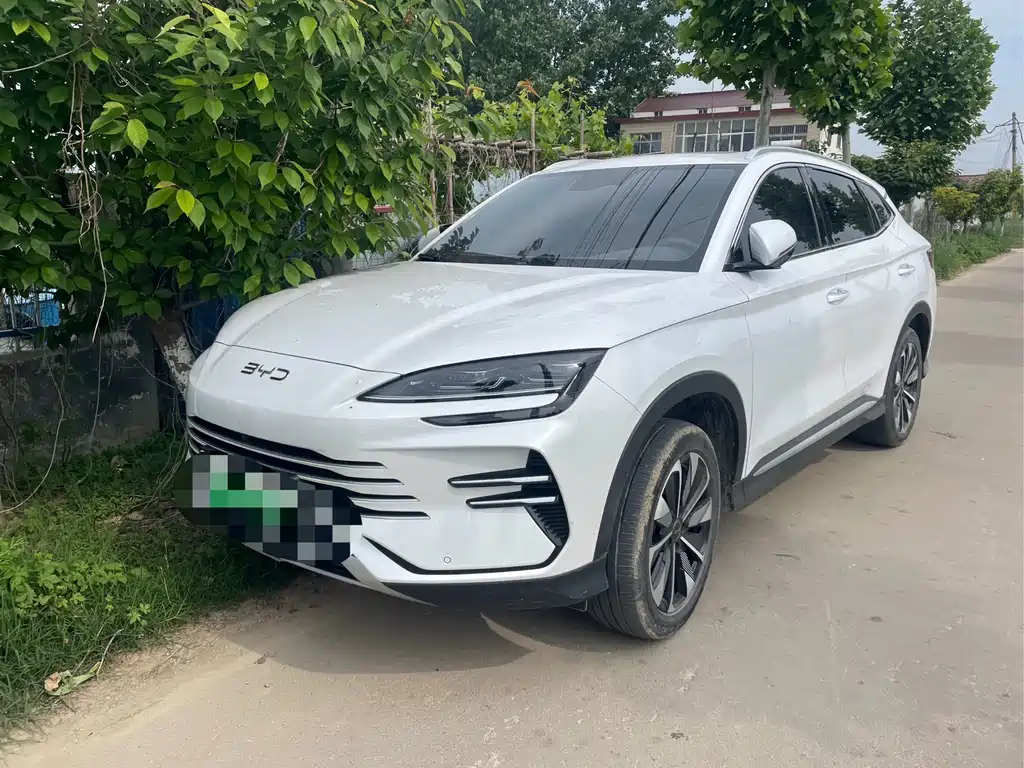 Byd PLUS New Energy 2024