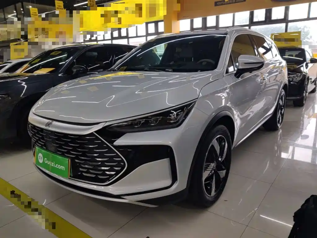 Byd Tang New Energy 2024