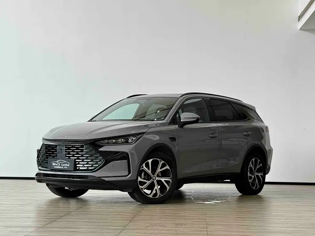 Byd Tang New Energy 2025