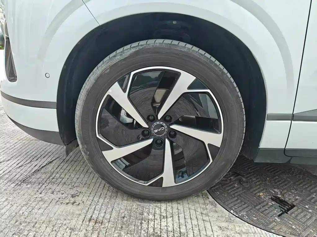 BYD Sealion 06 — миниатюра 20
