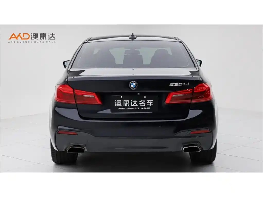 BMW 5 Series — миниатюра 4