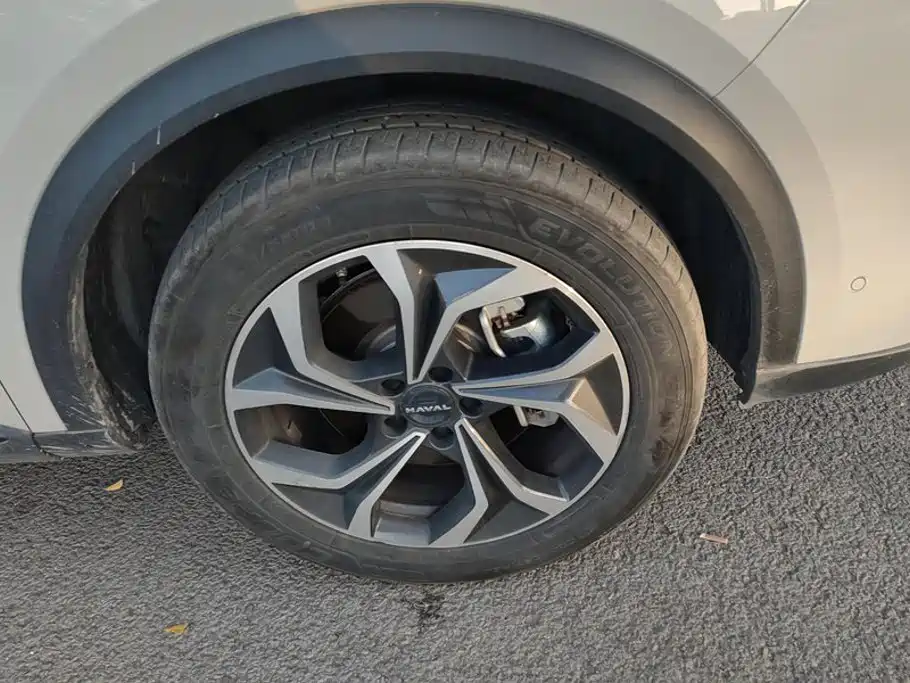 Haval Xiaolong MAX — миниатюра 6