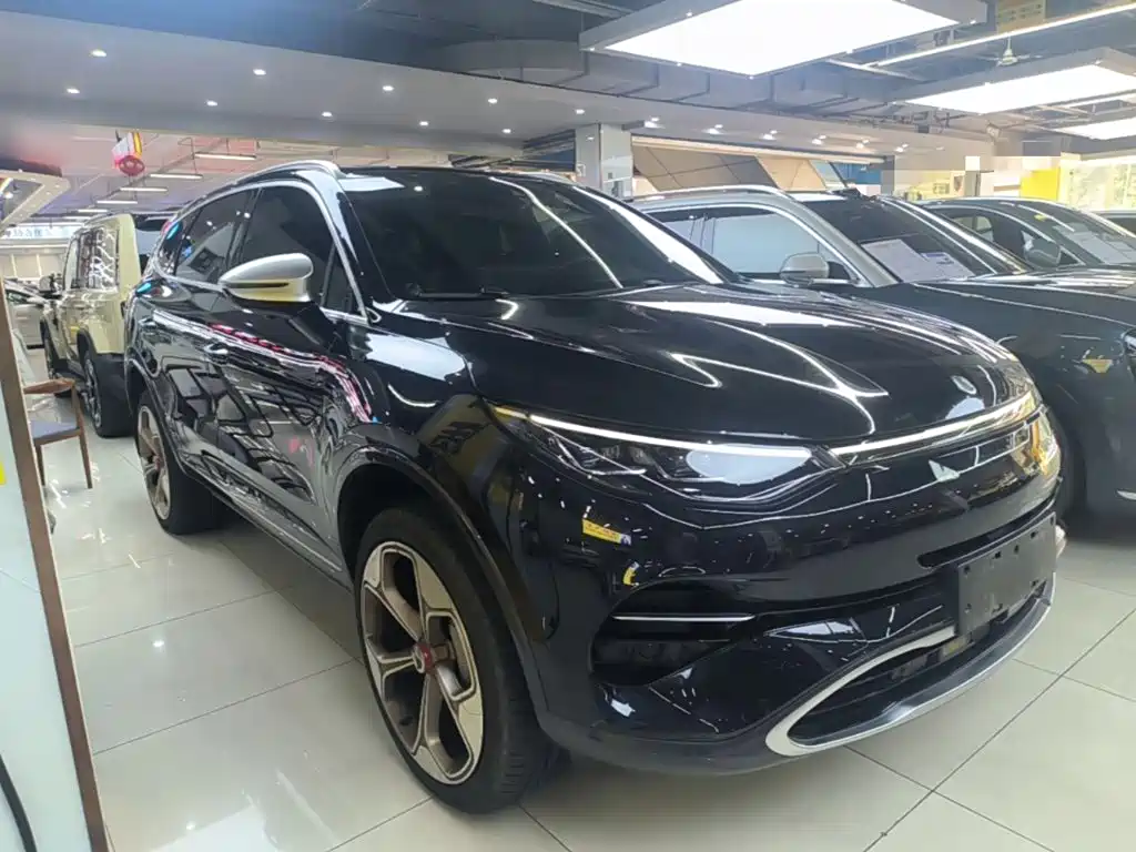 Denza Denza X — миниатюра 4