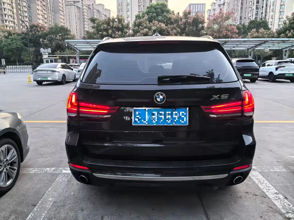 BMW X5 (Import) — миниатюра 6