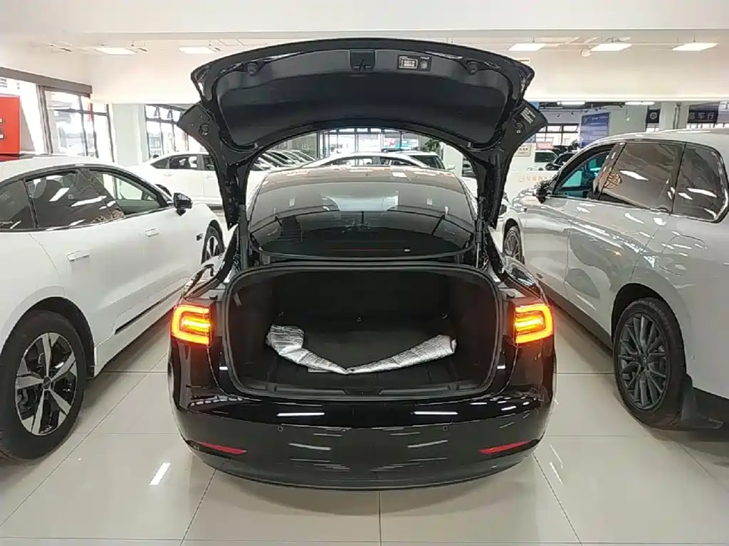 Tesla Model 3 — миниатюра 19