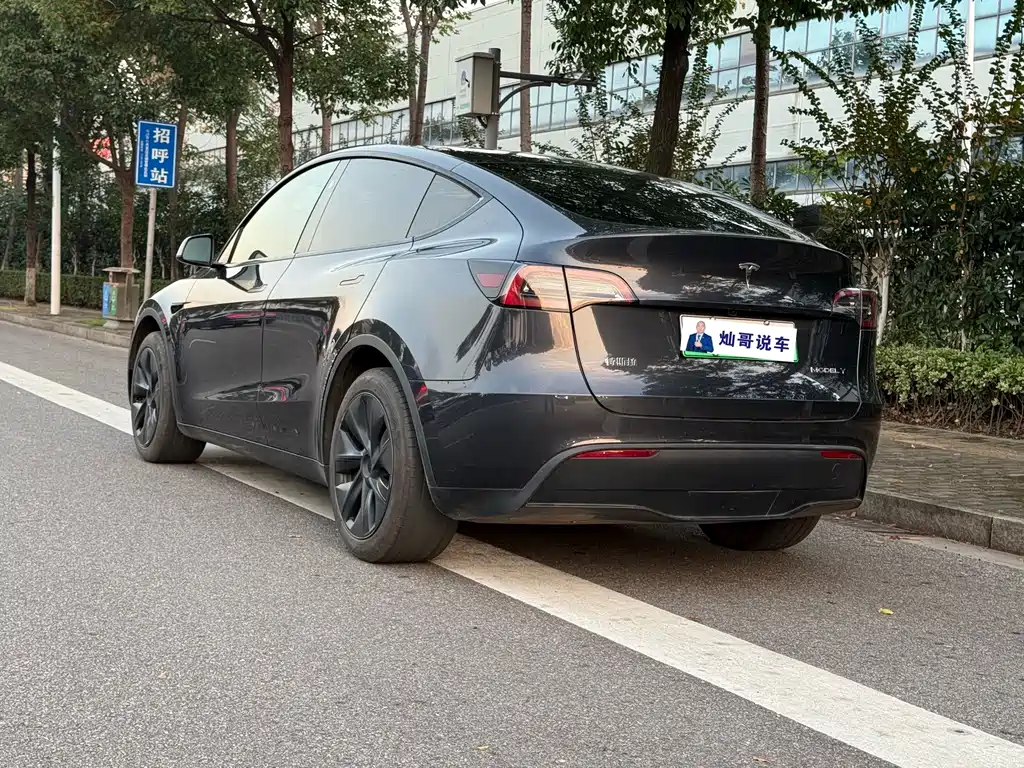 Tesla Model Y — миниатюра 11